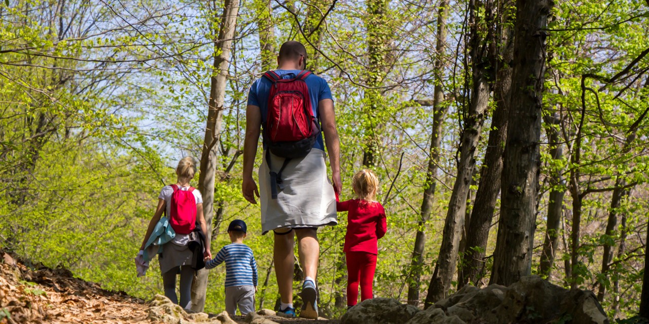Man wandelt met kinderen in een bos