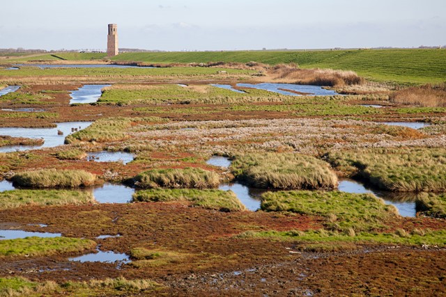 Afbeelding 3 | Wandelroutes in Zeeland: 7x7 tips