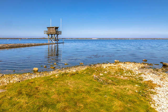 Wandelroute Goeree Overflakkee Grevelingen, Kabbelaarsbank Kabbelaarsbank Een Natuurgebied Vol Contrasten