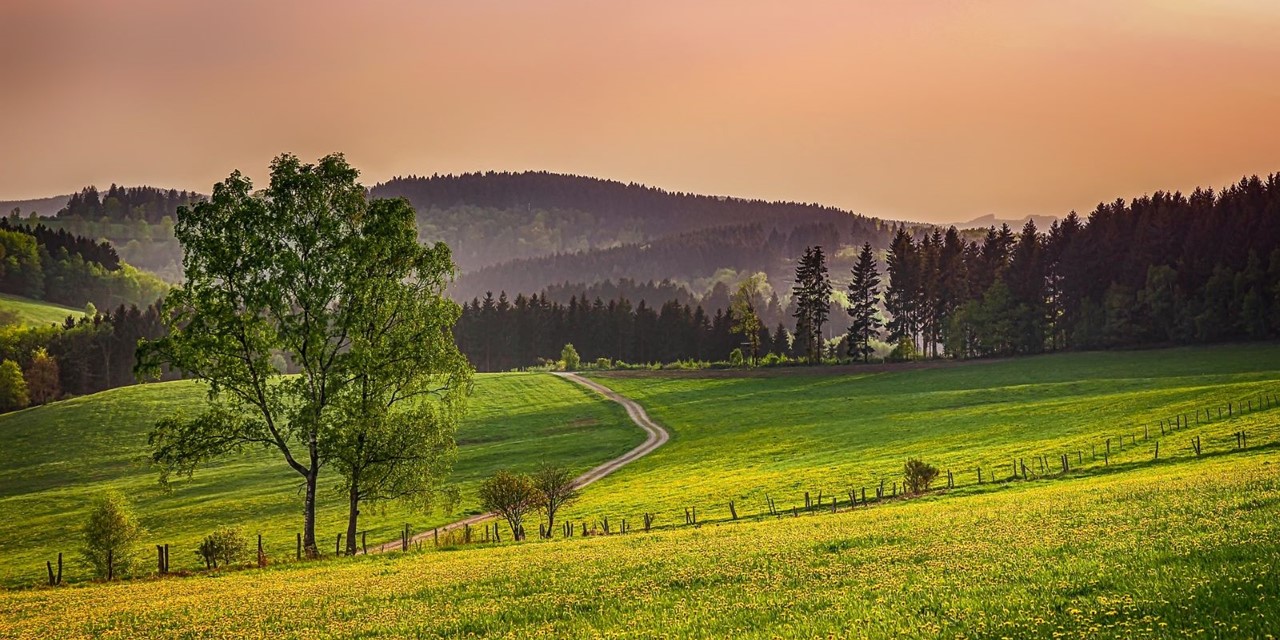 Wandelen In Duitsland 3X Wandeltips In Sauerland