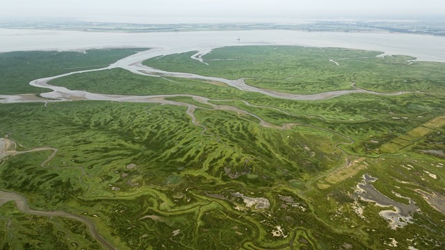 Rivieroever vanuit de lucht
