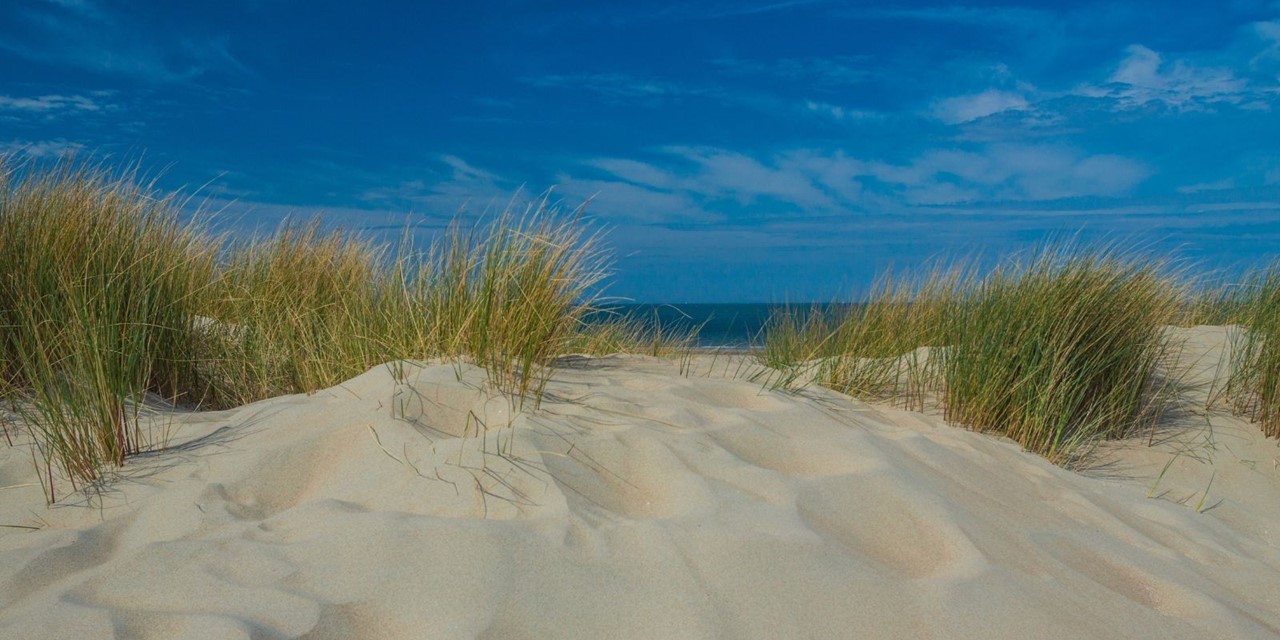 Wandelvakantie Zeeland mooiste wandelreizen Nederland
