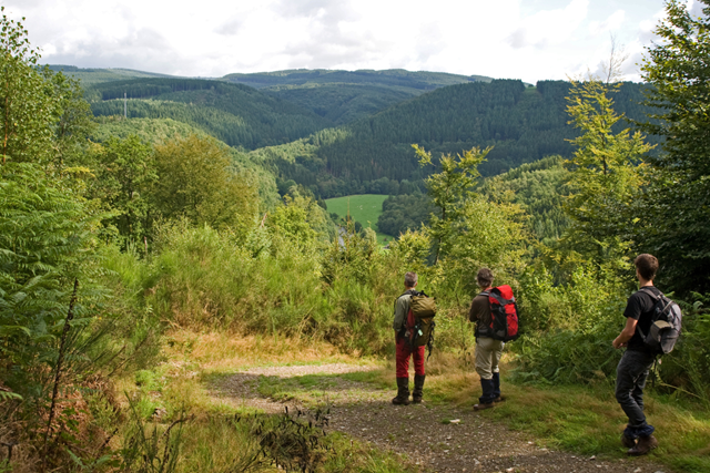 4X Wandelvakanties Op Minder Dan 4 Uur Rijden Vanaf Utrecht: Ardennen hiken