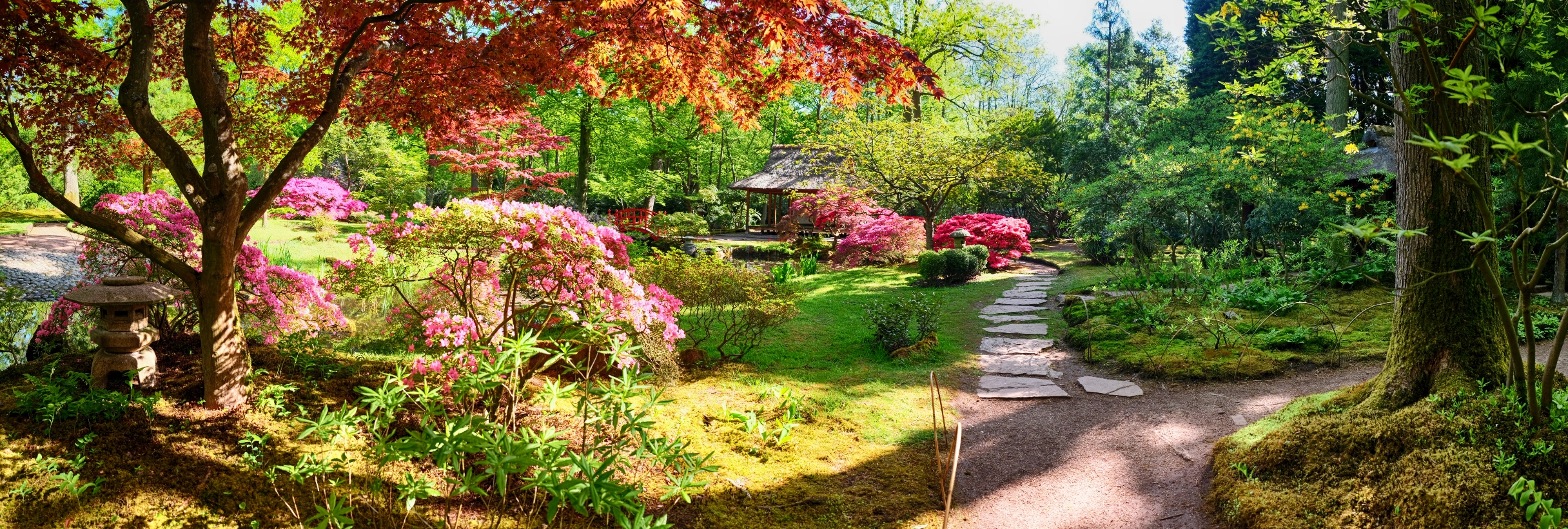 Kleurrijke wandeltuin in Japan tijdens Herfst