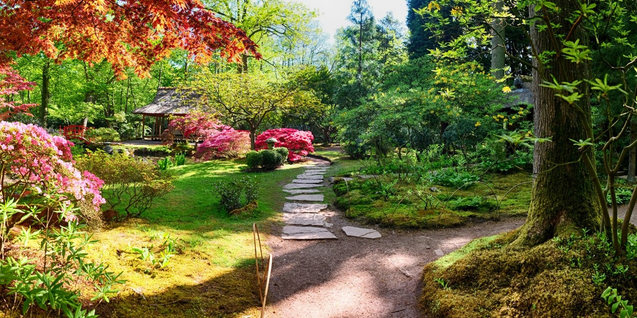 Kleurrijke wandeltuin in Japan tijdens Herfst
