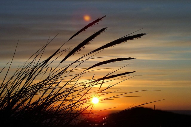 Zand tegen zee