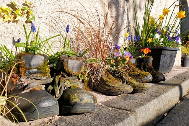 wandelschoenen die gebruikt worden als bloempotjes.