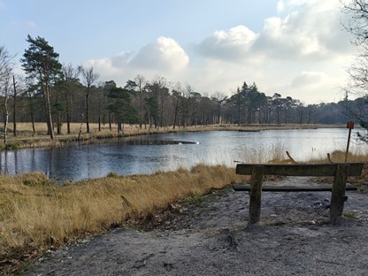 Wandelroute Mastbos Baronie Van Breda