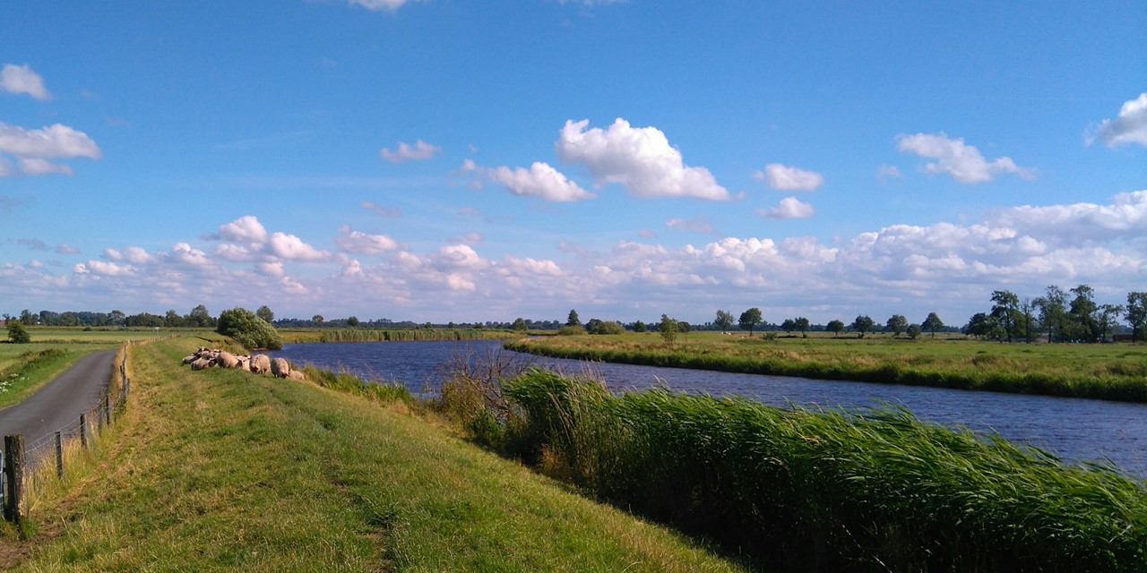 Dijken
