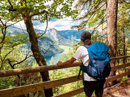 afbeelding van een wandelaar met een rugzak die geniet van een uitzicht over de bergen.