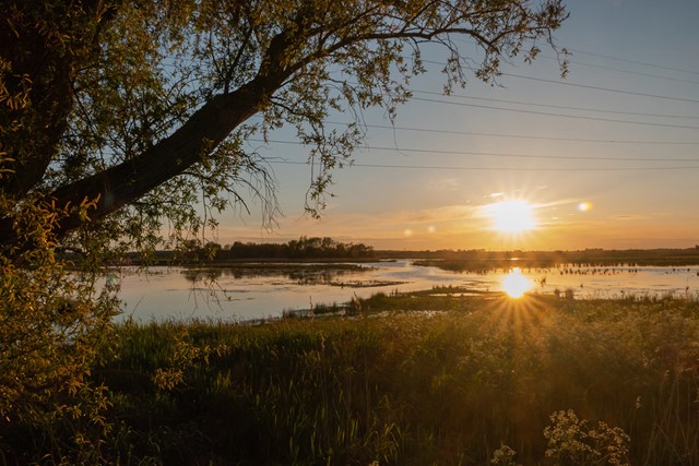zonsondergang aan het water en gras.