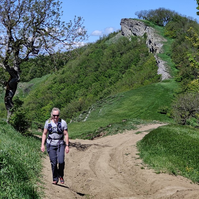 afbeelding van een wandeling in de bergen.