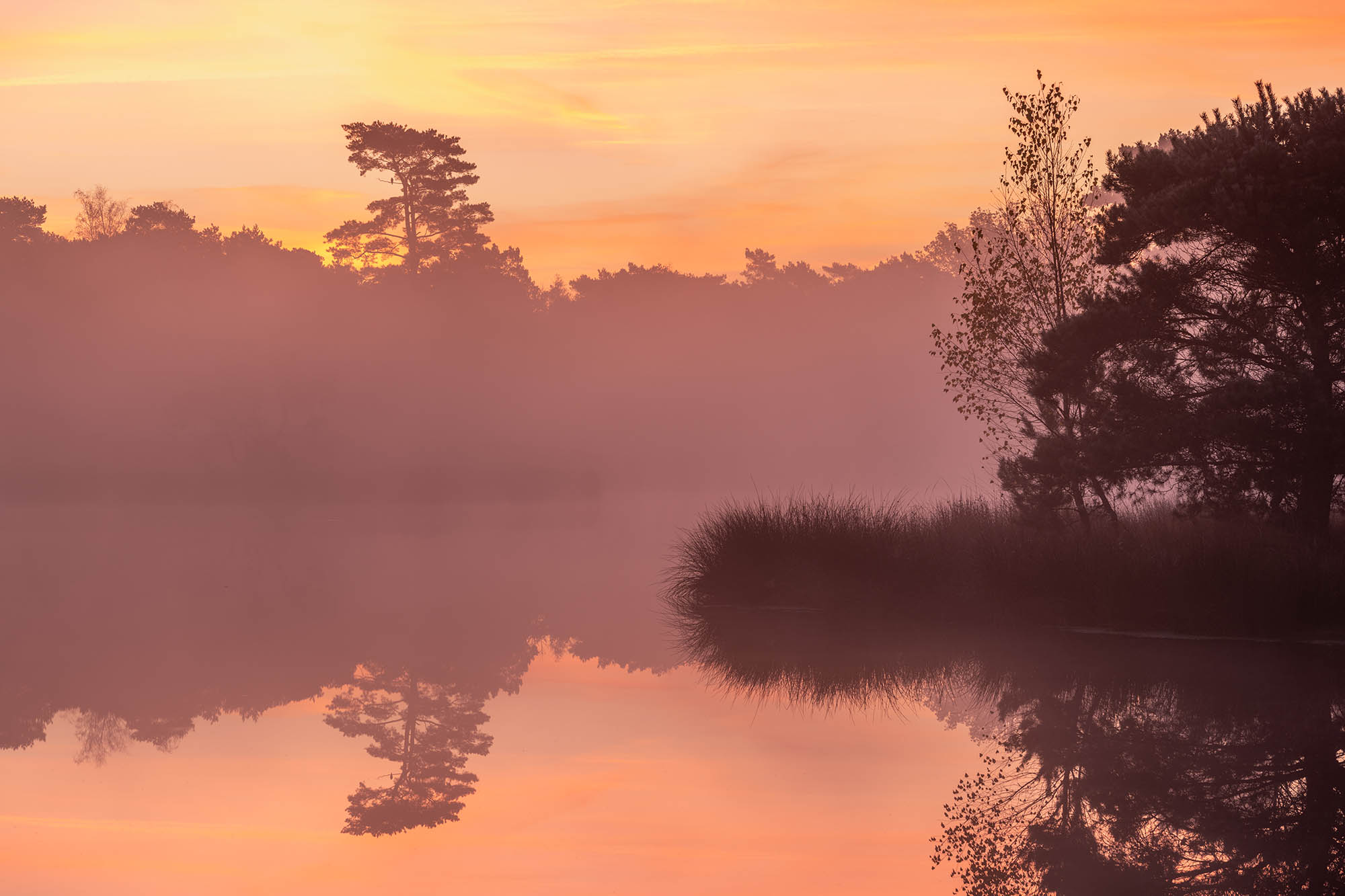 Wandelroute Duuvelskuul in Nationaal Park De Maasduinen