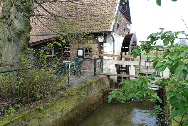 Het Dommelpad Watermolenroute Etappe 1 Peer Pelt Wedelse Molen