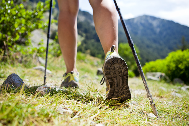 Kooptips Nordic Walking Stokken Verschil Met Trekkingstokken