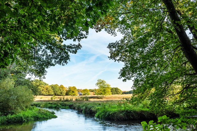Afwisseling van weides en bos op de oever van de Swalm