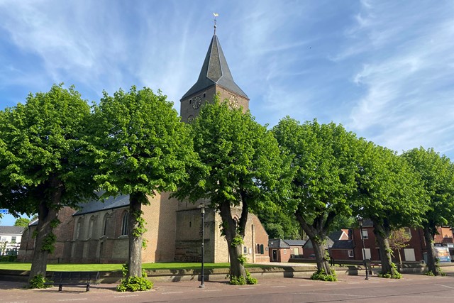 De Lambertikerk in Zelhem achter groene bomen.