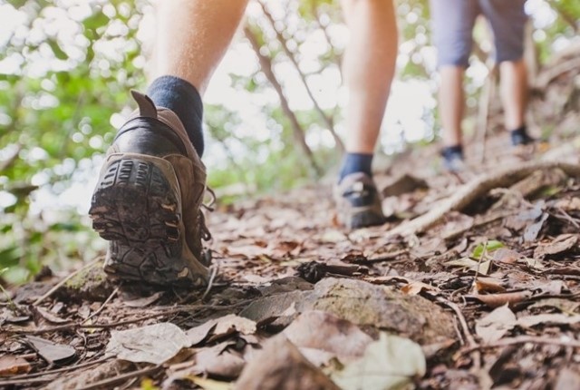 Wandelroute over de Amerongse Berg in Utrecht
