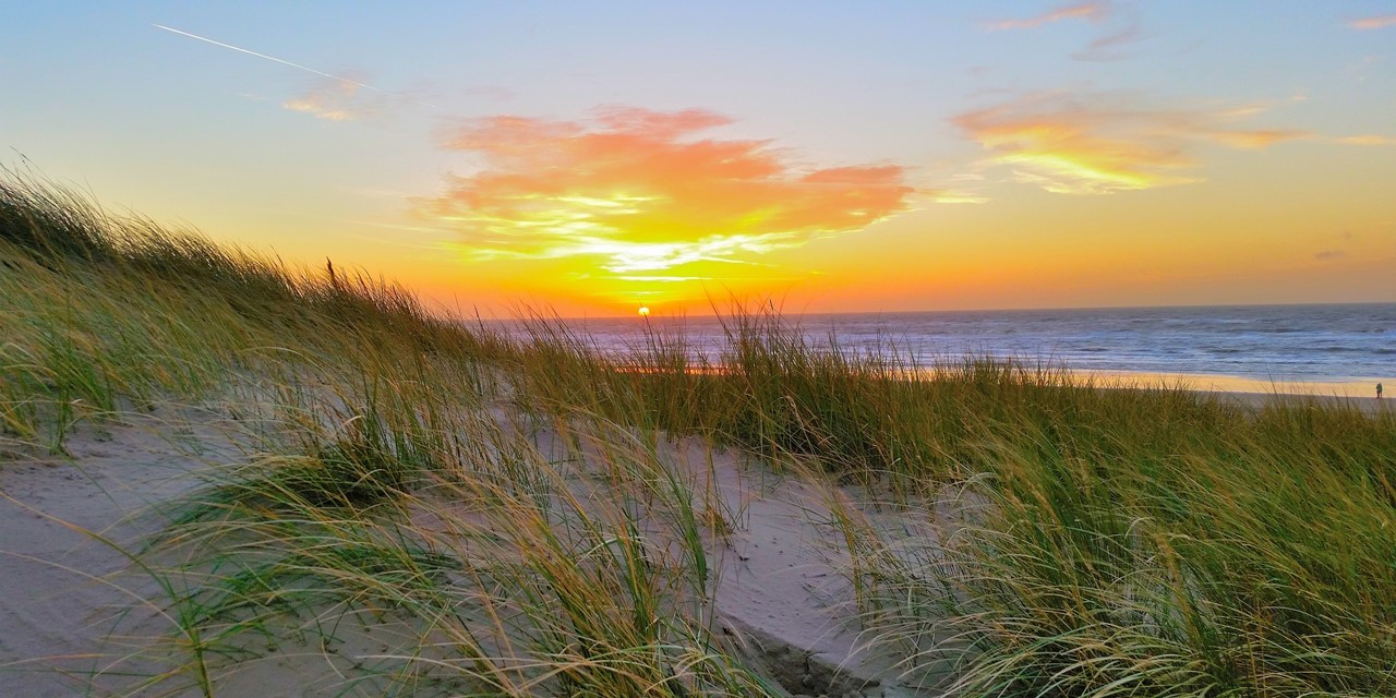 Schoorlse Duinen