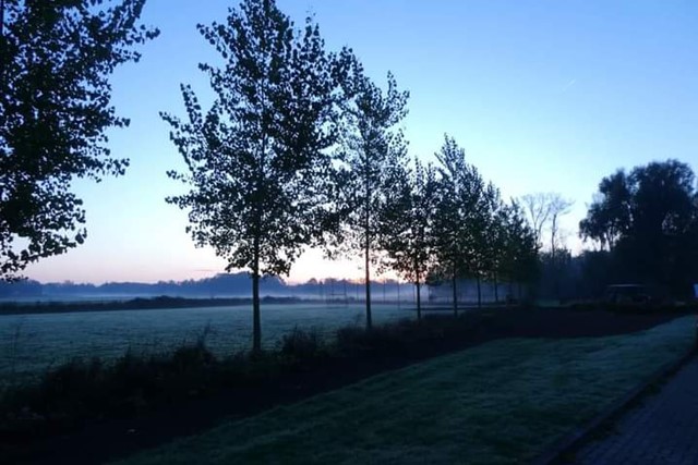 Wandelen in de nacht een mooie uitdaging: landschap in de schemering