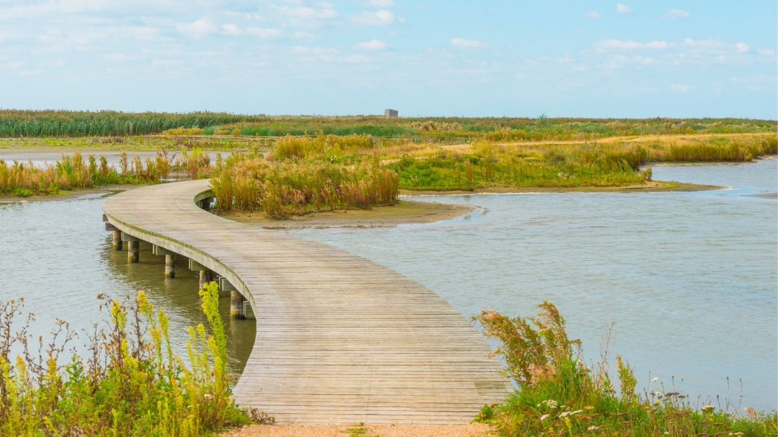 De 10 Mooiste Vlonderpaden In Nederland