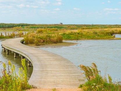 De 10 Mooiste Vlonderpaden In Nederland
