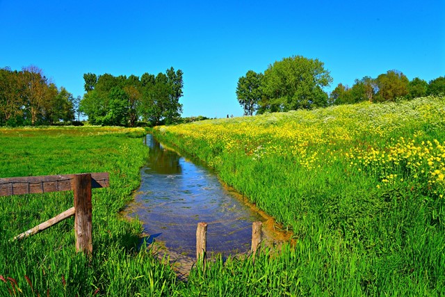 Sloot langs Bloemendijk