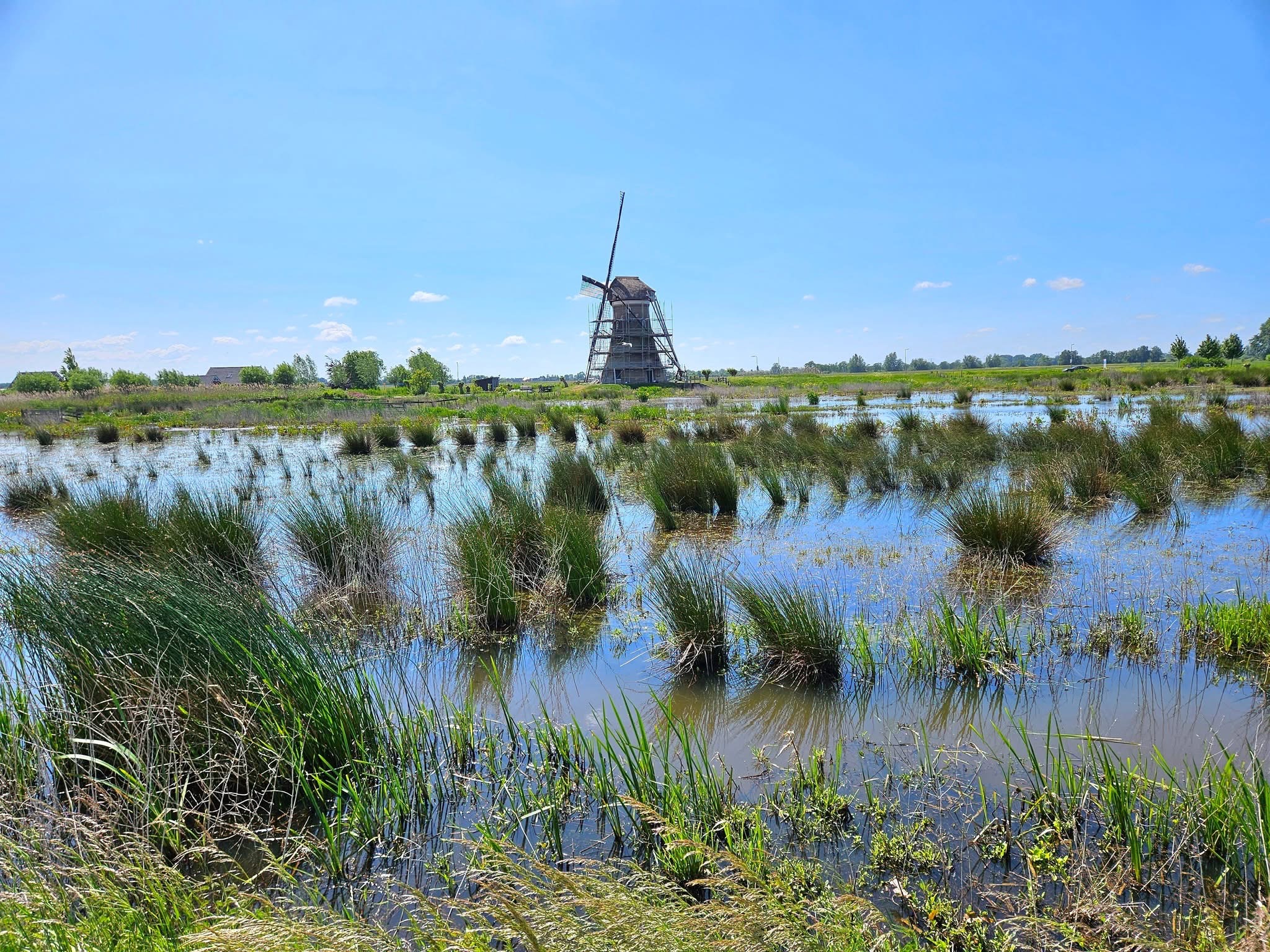 Stg WS Dordrecht Goudse Krimpenwaardse WT (1)