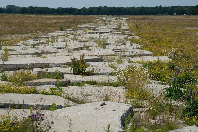 Voormalig vliegveld Twente