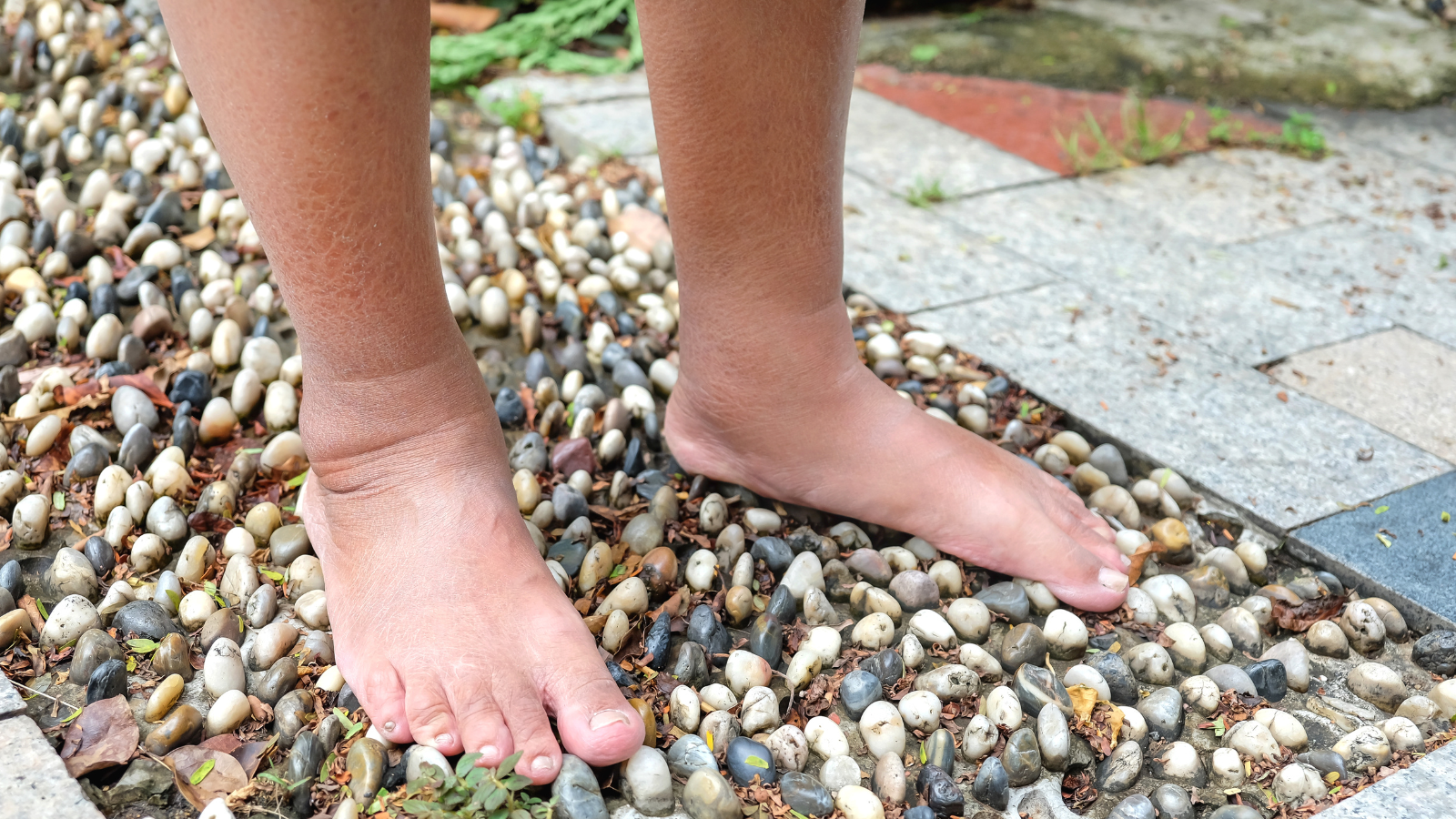 Blotevoetenpad Friesland Drents Friese Wold