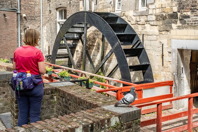 Achteraanzicht van een wandelaar die de historische bisschopsmolen bewondert in Maastricht