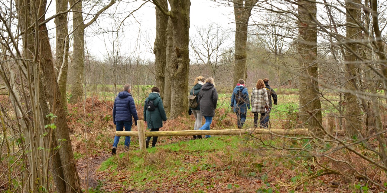 Eindejaarswandeltochten: samen wandelen we 2023 uit; Sint Thomaskuiertocht