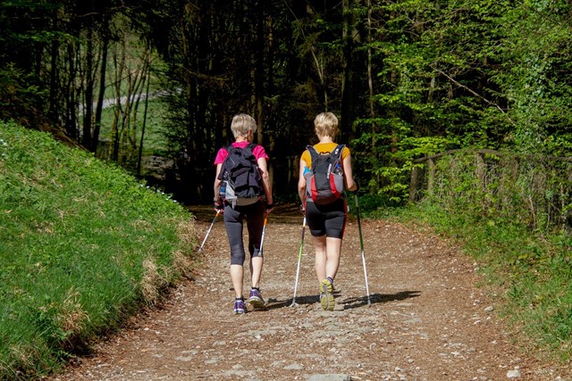 Nordic walking duo
