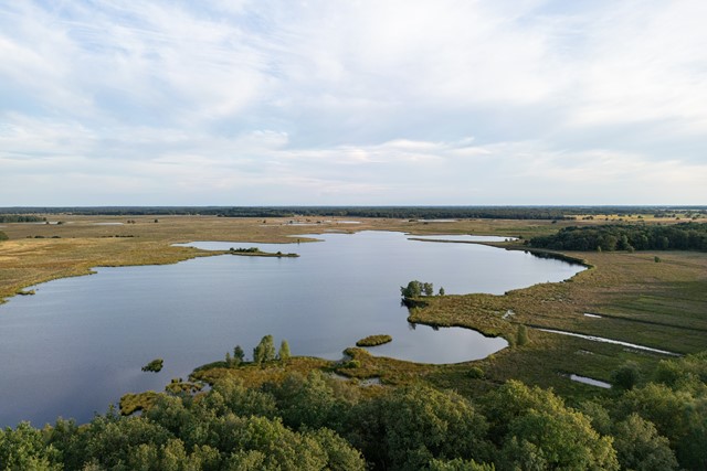 Nationaal Park Dwingelerveld