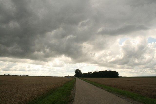 De Reiderwolderpolde