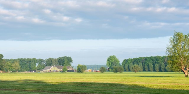 10 Wandelroutes Op De Utrechtse Heuvelrug Trage Tocht Leersum Doorn Hoogtepunten