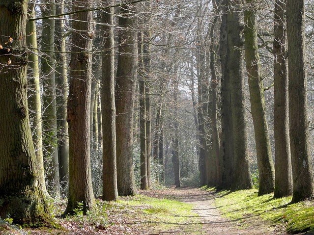 Wandelpark Eckart