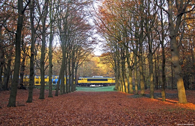 Landgoed Nijenburg