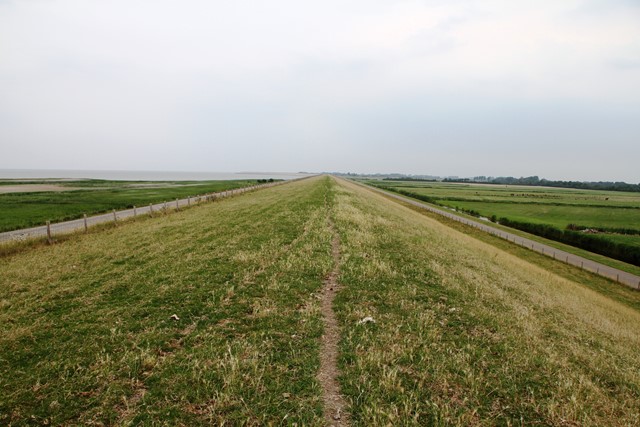 /wandelroutes-op-de-wadden-wieringen