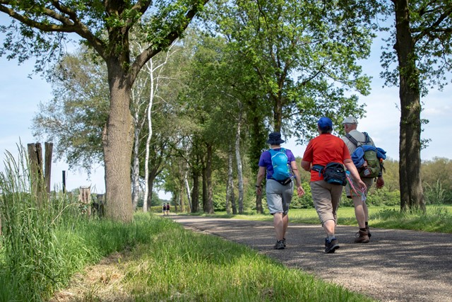 Afbeelding Meerdaags Wandelevenement Venray
