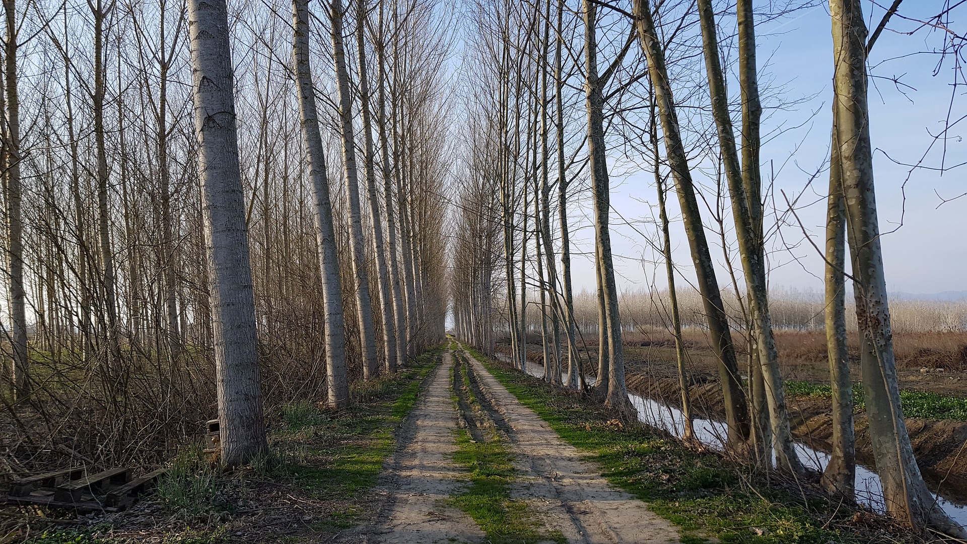 Header | Wandelroutes van wandelaars