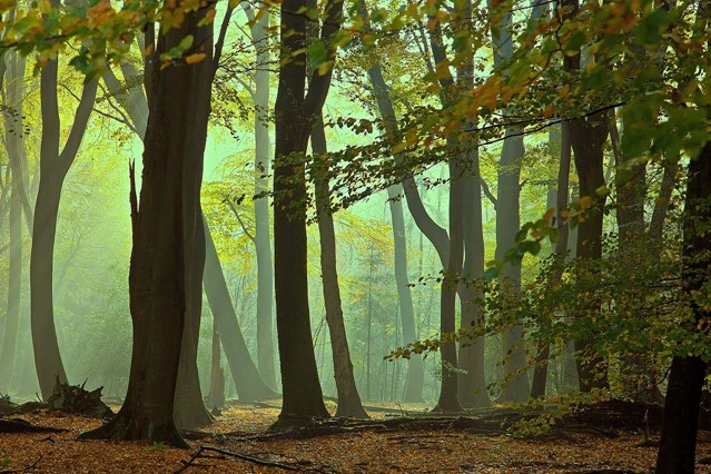 Afbeelding 4 | Wandelen in minder bekende natuurgebieden: Oost-Nederland