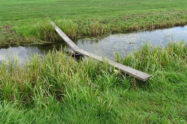 een houten plank over een slot tussen de weilanden.