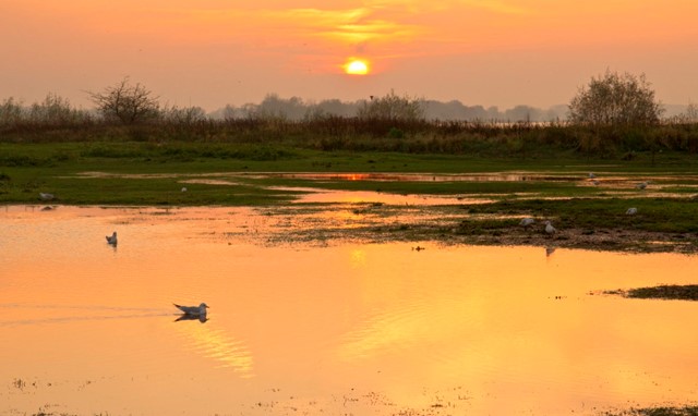 het Grote Rivierenpad | Betuwe