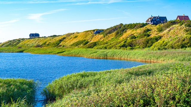Zuit-Jutland