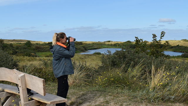 Wandelaar met verrekijker op Texel