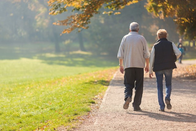 Wandelen En Wetenschap Dit Zijn De Feiten; Wandelpad park