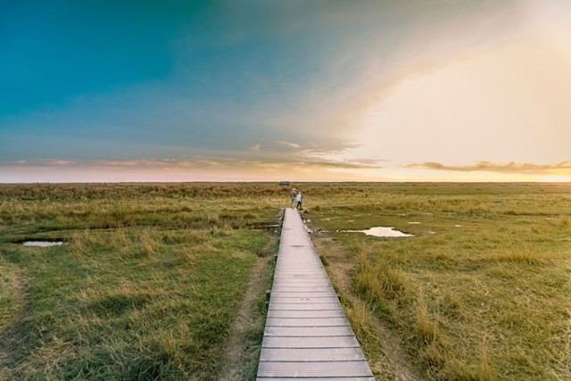 Deze wandelroutes zagen in 2024 het levenslicht