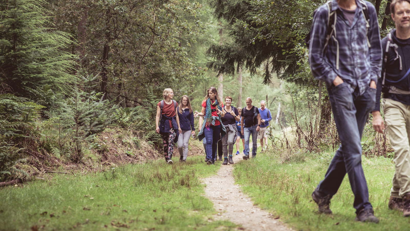 Airborne Wandelfestival 