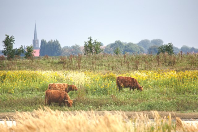 Tiengemeten